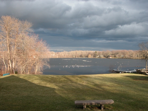 cove photo